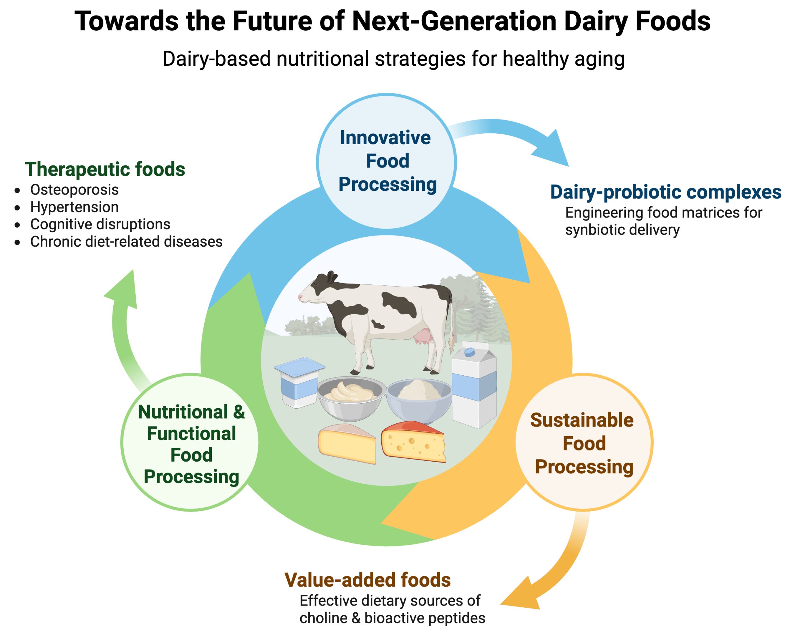 Graphical Summary of Research Projects in the Ozturk Lab
The Ozturk Lab focuses on three main research themes:

Innovative food processing, with a particular emphasis on dairy–probiotic complexes;
Sustainable food processing, aiming to add value to dairy foods;
Nutritional and functional food processing, with targeted applications in osteoporosis, hypertension, cognitive impairment, and other chronic diet-related diseases.

Together, these research areas aim to develop dairy-based nutritional strategies for healthy aging. 