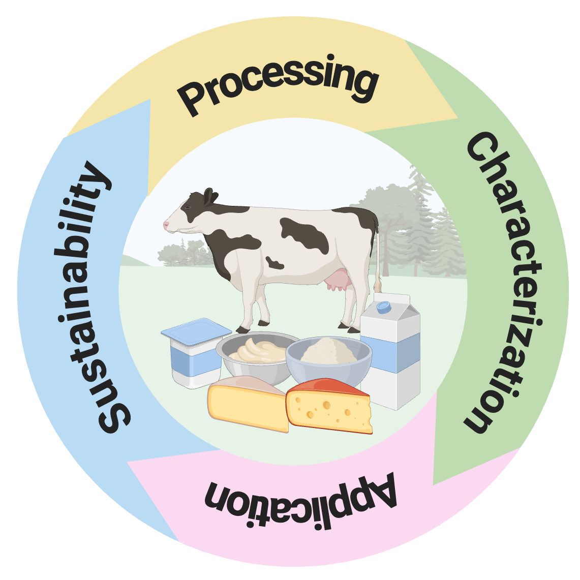 The Ozturk Lab's research projects have four main focuses: processing; characterization of dairy-derived bioactives; applications for healthy aging; and sustainable dairy innovation and the circular bioeconomy.